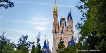 Cinderella Castle with blue spires framed by trees under a clear sky