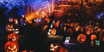 Dozens of carved, glowing jack-o'-lanterns illuminated on a hillside at night