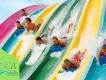 Aquatica, SeaWorld's Waterpark Aquatica, SeaWorld's Waterpark