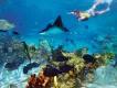 7 Dinge die GRATIS in Ihrem Discovery Cove Ticket inkludiert sind