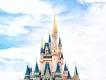 The 4 Best Walt Disney World Surprise Reveal Ideas The 4 Best Walt Disney World Surprise Reveal Ideas