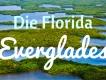 Naturwunder Everglades - Schalten Sie vom Alltag ab