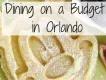 Top Tips for Dining on a Budget in Orlando Top Tips for Dining on a Budget in Orlando