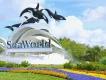 Die fünf besten Restaurants in SeaWorld Orlando Die fünf besten Restaurants in SeaWorld Orlando