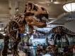 The Best Educational Attractions in New York The Best Educational Attractions in New York