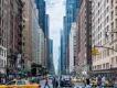 Die verrücktesten Esswettbewerbe in New York Die verrücktesten Esswettbewerbe in New York