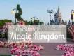 When dreams come true: Heiraten in Magic Kingdom