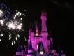 Jahresrückblick 2013: Walt Disney World Florida Jahresrückblick 2013: Walt Disney World Florida