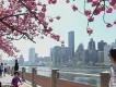 New York im April New York im April