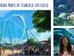 Bald in SeaWorld San Diego: Kalifornien's schnellste Achterbahn Bald in SeaWorld San Diego: Kalifornien's schnellste Achterbahn
