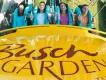 Top Tips for Visiting Busch Gardens Top Tips for Visiting Busch Gardens