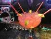 The Super Six: Top Bars at Disney Springs The Super Six: Top Bars at Disney Springs
