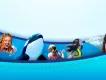 SeaWorld Parks SeaWorld Parks