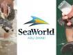 SeaWorld fasst Fuß in den Vereinigten Arabischen Emiraten! SeaWorld fasst Fuß in den Vereinigten Arabischen Emiraten!