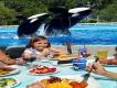 SeaWorld’s Dine with Shamu Experience is Back! SeaWorld’s Dine with Shamu Experience is Back!