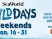 Wild Days in SeaWorld Orlando! Wild Days in SeaWorld Orlando!