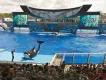 What's Hot - SeaWorld Parks and Entertainment