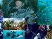 Aufregende Zeit in den SeaWorld Parks 