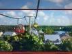 Aufregende neue Transportservices in Walt Disney World! Aufregende neue Transportservices in Walt Disney World!