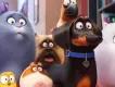 Neuer Ride in den Universal Studios Hollywood: The Secret Life of Pets Neuer Ride in den Universal Studios Hollywood: The Secret Life of Pets