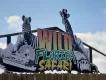 wild florida safari wild florida safari