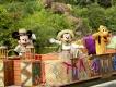 Disney's Animal Kingdom