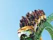 Cheetah Hunt Cheetah Hunt