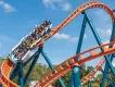Ice Breaker at SeaWorld Orlando