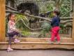 Chessington Zoo Two children standing in front of an animal enclosure at Chessington Zoo