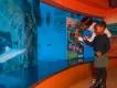 Peppa's Aquarium Adventure A mother and child wave to fish in a tank at SEA LIFE London