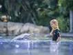 Swimming with Dolphins at Discovery Cove A young girl standing in shallow water in front of a dolphin. She is laughing and wearing a wetsuit