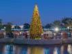 Christmas at Dubai Parks and Resorts A giant lit up Christmas tree next to a river that is reflecting the light