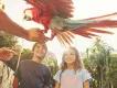 Winter Sun Holidays Two children being shown a brightly coloured parrot