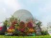 Encanto Topiaries Topiaries of the Encanto characters in front colourful flowers and Spaceship Earth