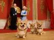 The Royals at Madame Tussauds Three corgis sat in front of waxworks of King Charles and Camilla