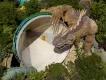 SIAM PARK SIAM PARK