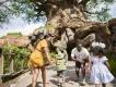 Disney's Animal Kingdom Theme Park A woman and man with two young children walking towards a large tree with animals carved into its trunk