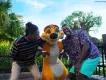 Disney Adults Disney Adults