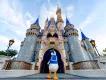 Magic Kingdom Park Donald Duck walking away from the camera towards Cinderella Castle