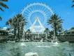 ICON Park Wheel Large white ferris wheel with fountains in front and palm trees. Beneath the wheel is a sign which says SEA LIFE.