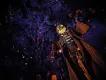 Halloween Horror Nights A scarecrow with a pumpkin head in front of dark trees