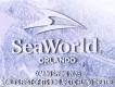 SeaWorld Orlando Arctic Flying Theatre Icy background with snow flowing. There is the SeaWorld Orlando logo which is white and has a dolphin fin inside a larger orca fin. Under it says "Coming spring 2025 - world's first-of-its-kind arctic flying theatre"