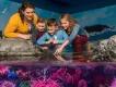 SEA LIFE Florida Mother with three kids in a aquarium with one kid pointing into a rock pool full of water and multicoloured underwater plants.