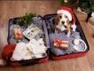 Dog wearing a Santa hat sitting in an open suitcase packed with winter clothes and holiday gifts, ready for Christmas travel.