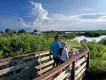 National park with wooden bridge leading out into water.
