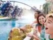 A family laughing and cheering as Manta roller coaster splashes down beside them at SeaWorld Orlando