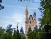 Cinderella Castle with blue spires framed by trees under a clear sky