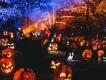 Dozens of carved, glowing jack-o'-lanterns illuminated on a hillside at night