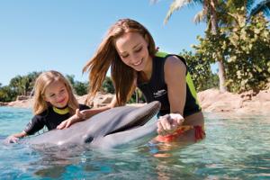 Top 10 Animal Encounters in Orlando 