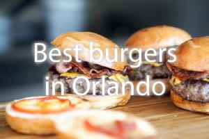 Best Burger at the Orlando Parks